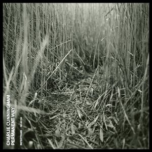 酒井さとみ无码流出
