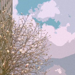 酒井さとみ无码流出
